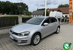 Volkswagen Golf VII 1,2 tsi ładny świeżo zarejestrowany z Niemiec.