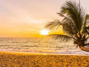 *Costa Blanca dla 2-osób… Palmy, Słońce, Plaża + Morze.-1