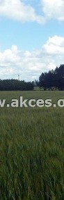 Działka rolno-budowlana Aleksandrowo Aleksandrowo-3