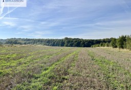 Działka budowlana Tarnowskie Góry Stare Tarnowice, ul. Pyskowicka