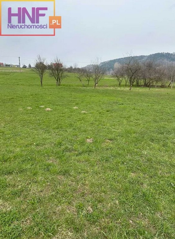 Działki od 9 do 40 ar 5 km od Jeziora Rożnowskiego – pohled 5