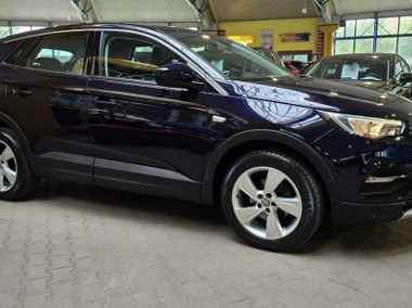 Opel Grandland X 2018/2019 ZOBACZ OPIS !! W podanej cenie roczna gwarancja-1