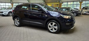 Opel Grandland X 2018/2019 ZOBACZ OPIS !! W podanej cenie roczna gwarancja