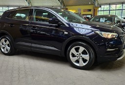 Opel Grandland X 2018/2019 ZOBACZ OPIS !! W podanej cenie roczna gwarancja