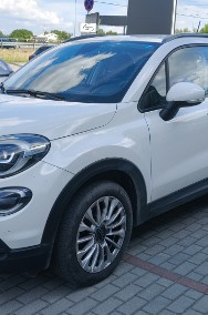 salon Polska -2