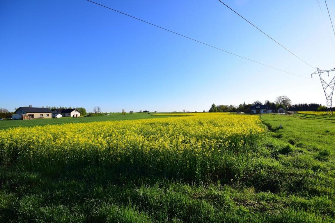 Atrakcyjne działki bud., szybki dojazd do Lublina - View 4