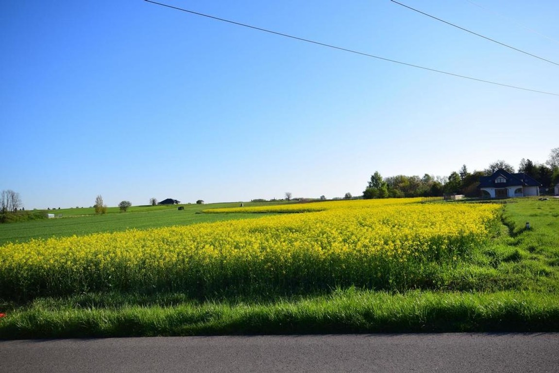 Atrakcyjne działki bud., szybki dojazd do Lublina - View 5