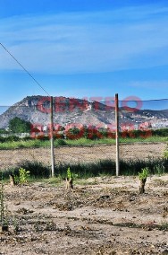 Ogrodzony sad pomarańczowy w dobrej lokalizacji w Cullera, Walencja-2