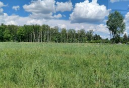 Działka inna Kajetany, ul. Czarująca