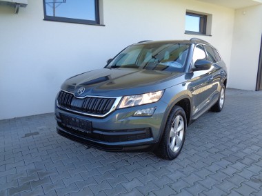 2.0tDI 4X4 LEDY-1