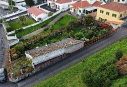 Dom Rosto Do Cão (Livramento)