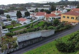 Dom Rosto Do Cão (Livramento)