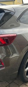 Ford Kuga IV ST-Line 2.5 FHEV ST-Line 2.5 FHEV 180KM / Pakiet Winter-3