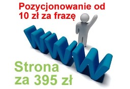 Reklama w Internecie Ruda Śląska reklama w Google agencja reklamowa marketingowa