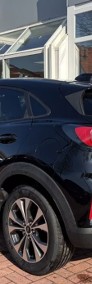 Ford Puma II Titanium 1.0 Ecoboost Titanium 1.0 Ecoboost 125KM / Pakiet Winter-3