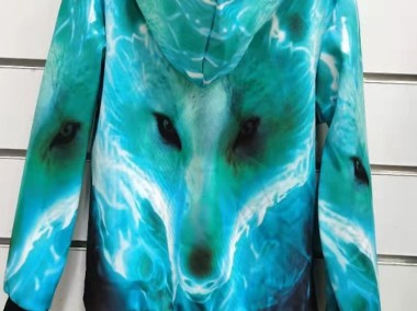bluza dla chłopca z kapturem z nadrukiem 3D błękitny wilk-1