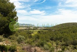 Dom Sant Pere De Ribes