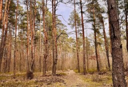 Działka budowlana Warszawa Radość