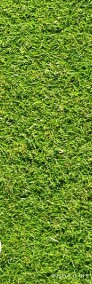 Trawa z rolki - cena za m2 materiału roślinnego-4