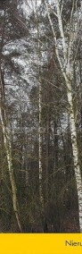 Działki leśne w Wojnowie-3