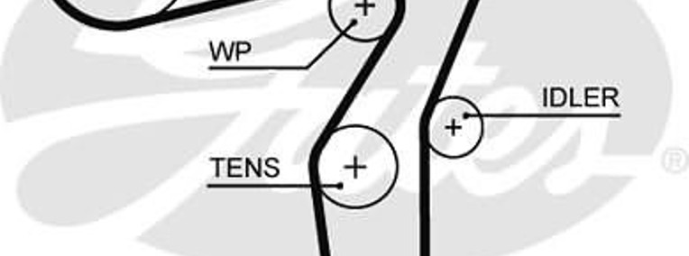 ZESTAW PASKA ROZRZĄDU Z POMPĄ WODY Gates KP25650xs Fiat-1