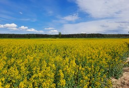 Nowe domy Kaźmierz- Radzyny