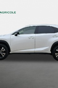 Lexus NX NX 14- Lexus NX 300h F Impression AWD Kombi sk998vk-2