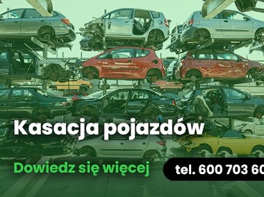 Auto złom Nisko - Złomowanie pojazdów - ZŁOM LESTA-1