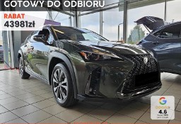 Lexus UX 300h F Sport Design 2.0 Hybrid Dynamic Force UX 300h F Sport Design 2.0