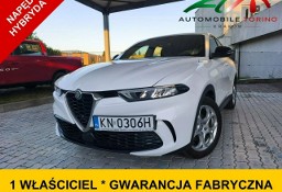 Alfa Romeo Inny Alfa Romeo Alfa Romeo Tonale