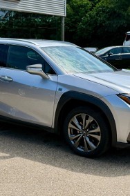 Lexus UX 300h F Sport Design 2.0 Hybrid Dynamic Force UX 300h F Sport Design 2.0-2
