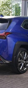 Lexus UX 300h F Sport Design Hybrid Dynamic Force 300h F Sport Design Hybrid Dynamic-4