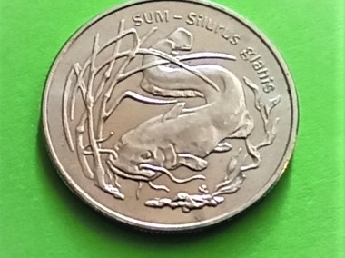 2 zł 1995 r. Sum-1