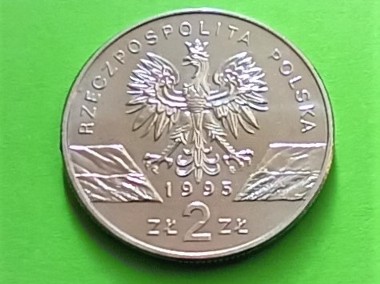 2 zł 1995 r. Sum-2