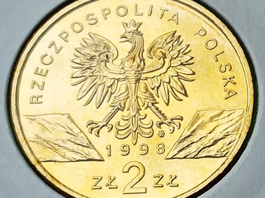 2 zł 1998 r. Ropucha Paskówka-2