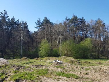 Działka pod lasem w Rzeszotarach-1