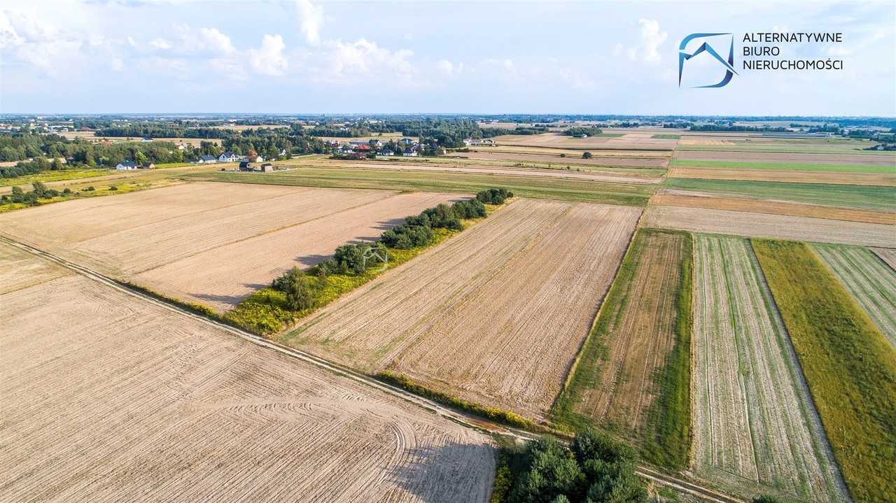 Inwestycyjna działka rolna w Rudce Kozłowieckiej - Widok 2