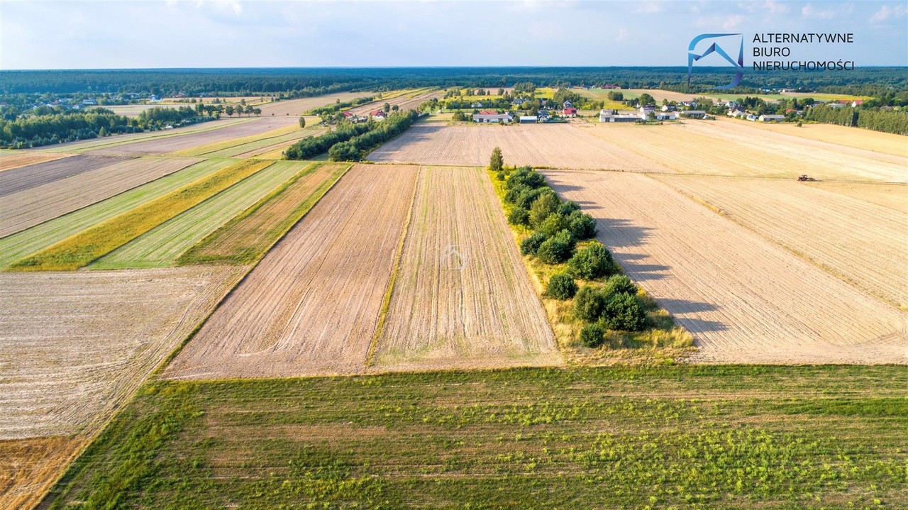 Inwestycyjna działka rolna w Rudce Kozłowieckiej - Widok 6