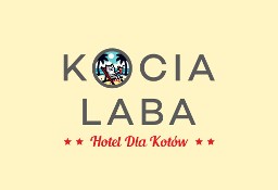 Kocia Laba hotel dla kotów 