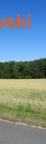 Działka rolna 0,84 ha k./ Iławy-3