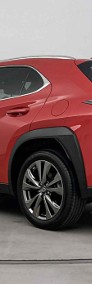 Lexus UX 300h F Sport Design 2.0 Hybrid Dynamic Force 300h F Sport Design 2.0-4