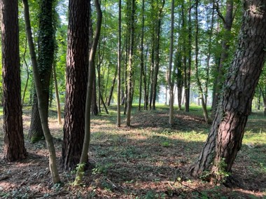 Działka blisko lasu, Konstancin-Jeziorna-1