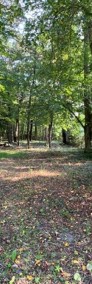 Działka blisko lasu, Konstancin-Jeziorna-3