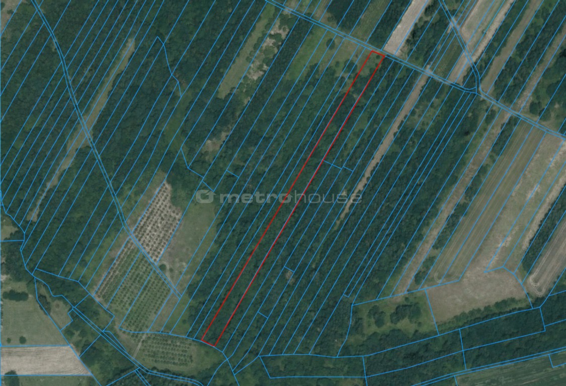 Działka na sprzedaż, 5000 m², Liszki Czułów, małopolskie