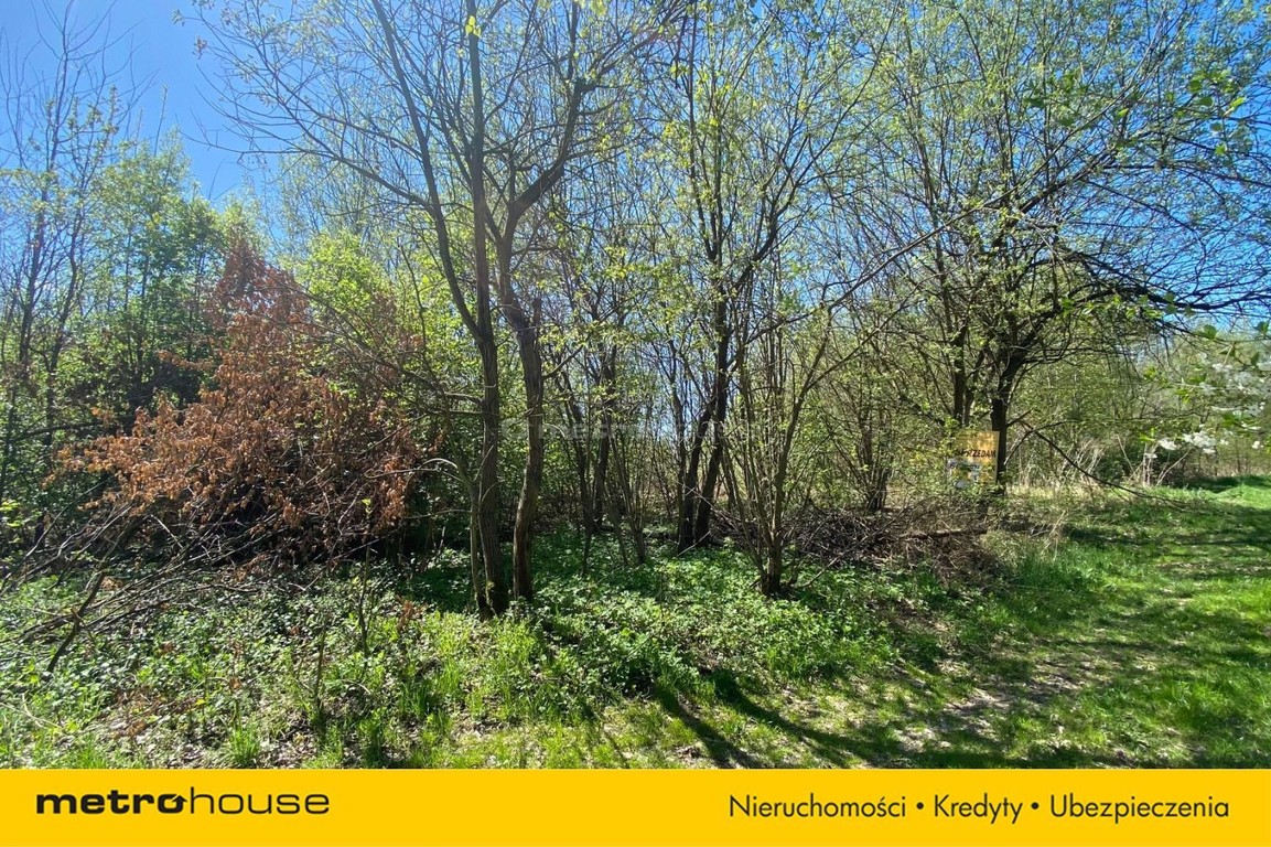Działka na sprzedaż, 5000 m², Liszki Czułów - Widok 2