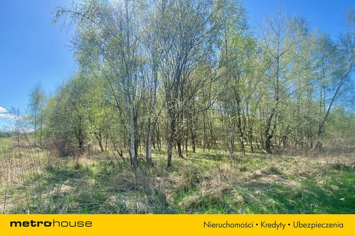 Działka na sprzedaż, 5000 m², Liszki Czułów - Widok 3