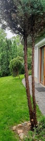 Bardzo dobrze skomunikowany apartament z dużym ogrodem w Warszawie (Marymont)-3