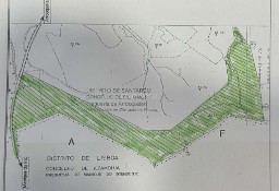 Działka inna São João Da Ribeira E Ribeira De São João