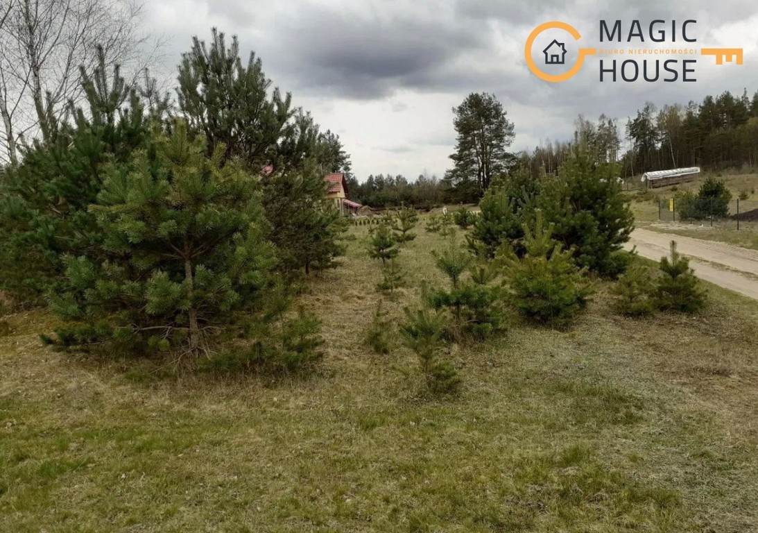 Działka 42 000 m² | WZ na 16 domów | las | Przewóz - Ansicht 2
