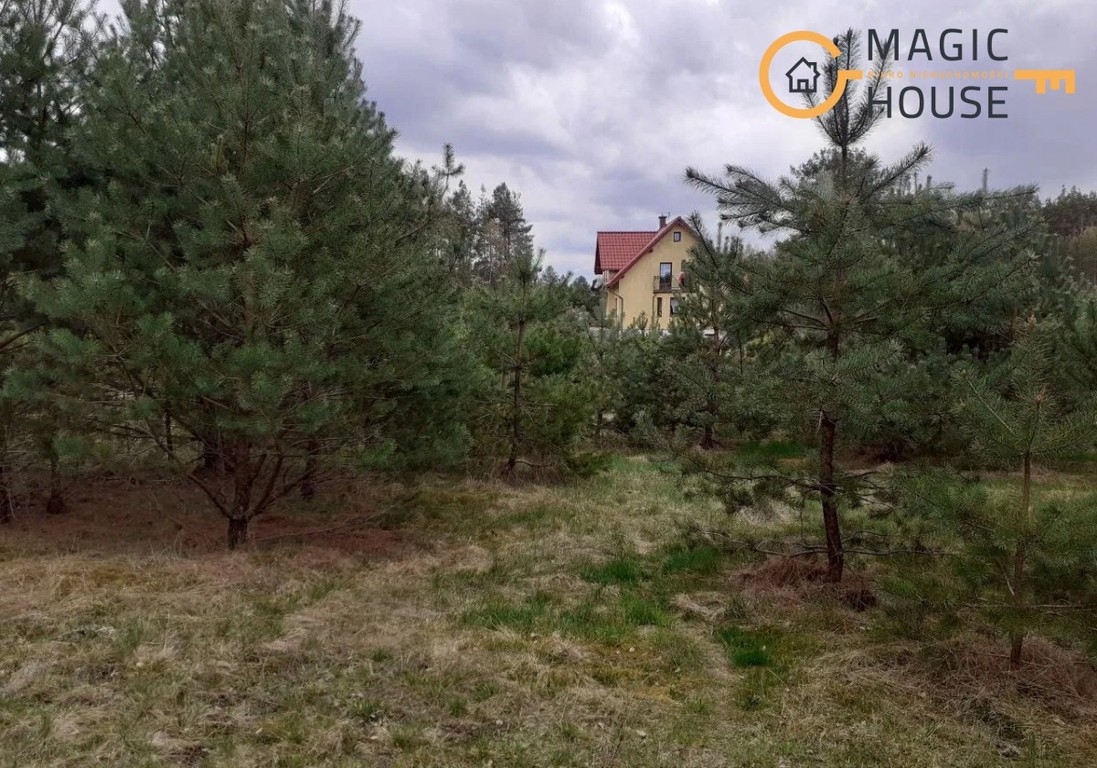 Działka 42 000 m² | WZ na 16 domów | las | Przewóz - Ansicht 4